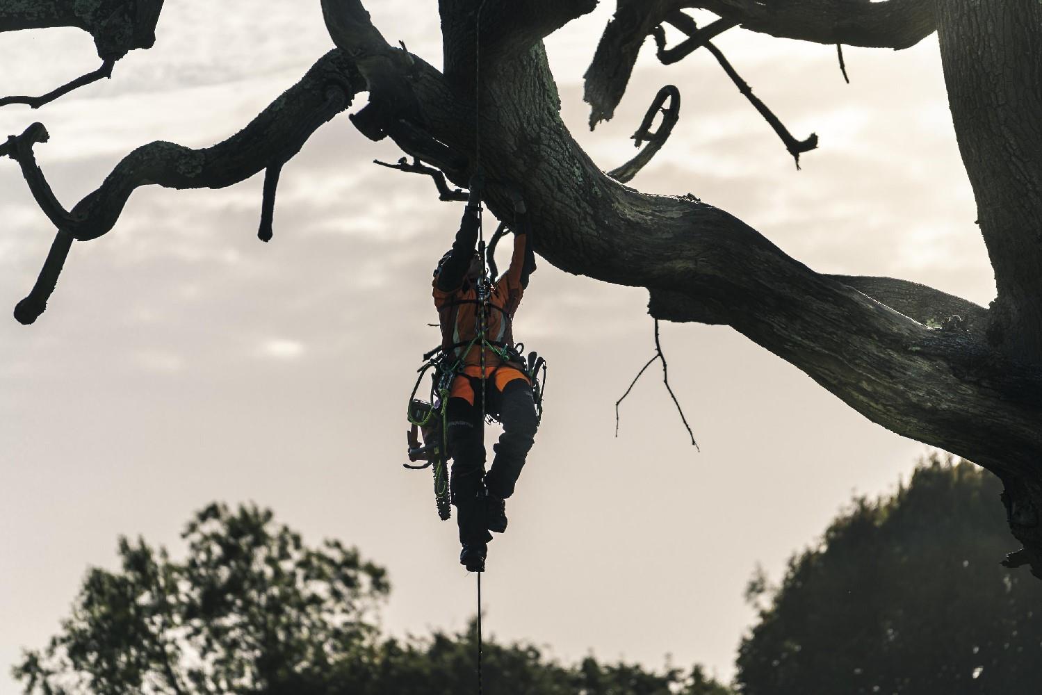 AKKUSÄGE T540iXP 14" öls.HUSQVARNA *