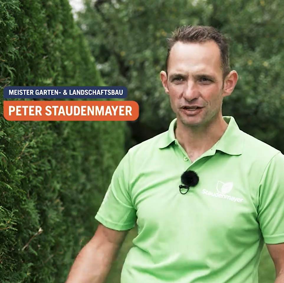 Wichtige Fragen zum Thema Heckenschnitt