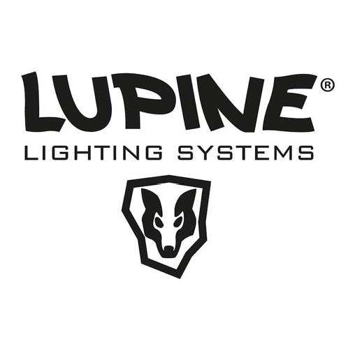 Das perfekte Licht Lupine