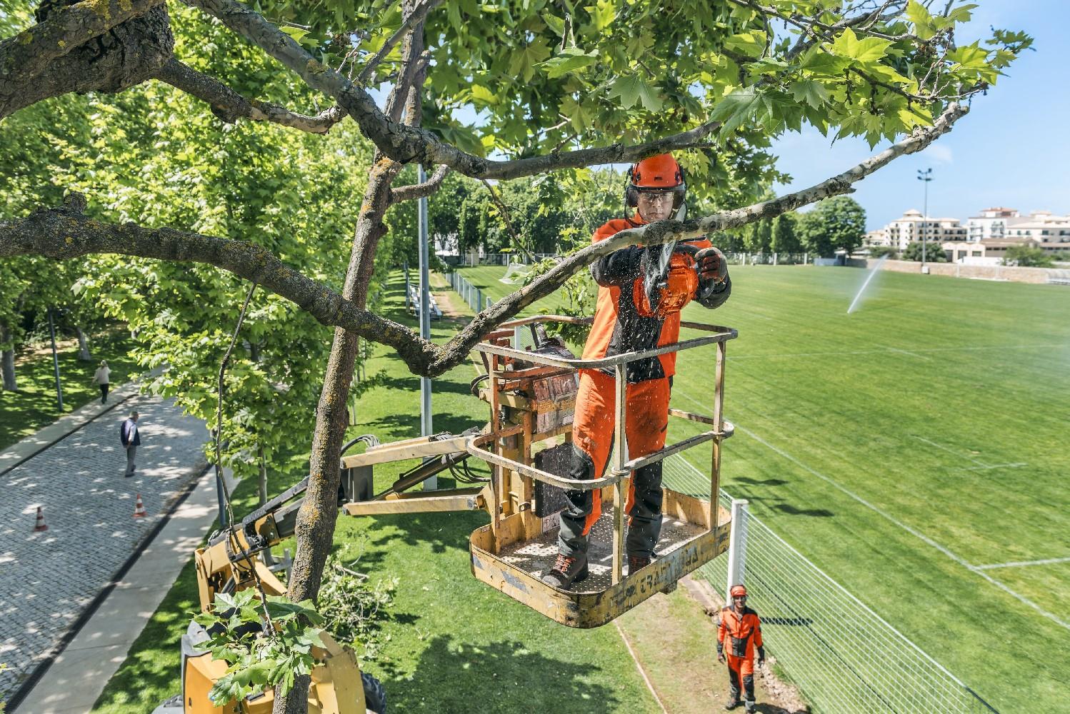 T435 Motorsäge Husqvarna Baumpflege