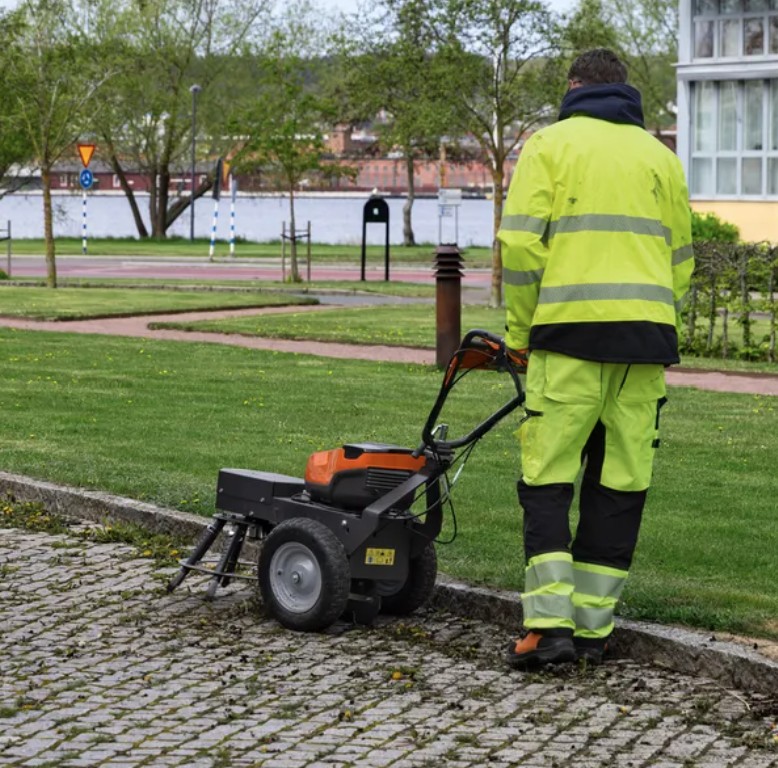 Präzise Moos- und Unkrautentfernung ohne chemische Substanzen