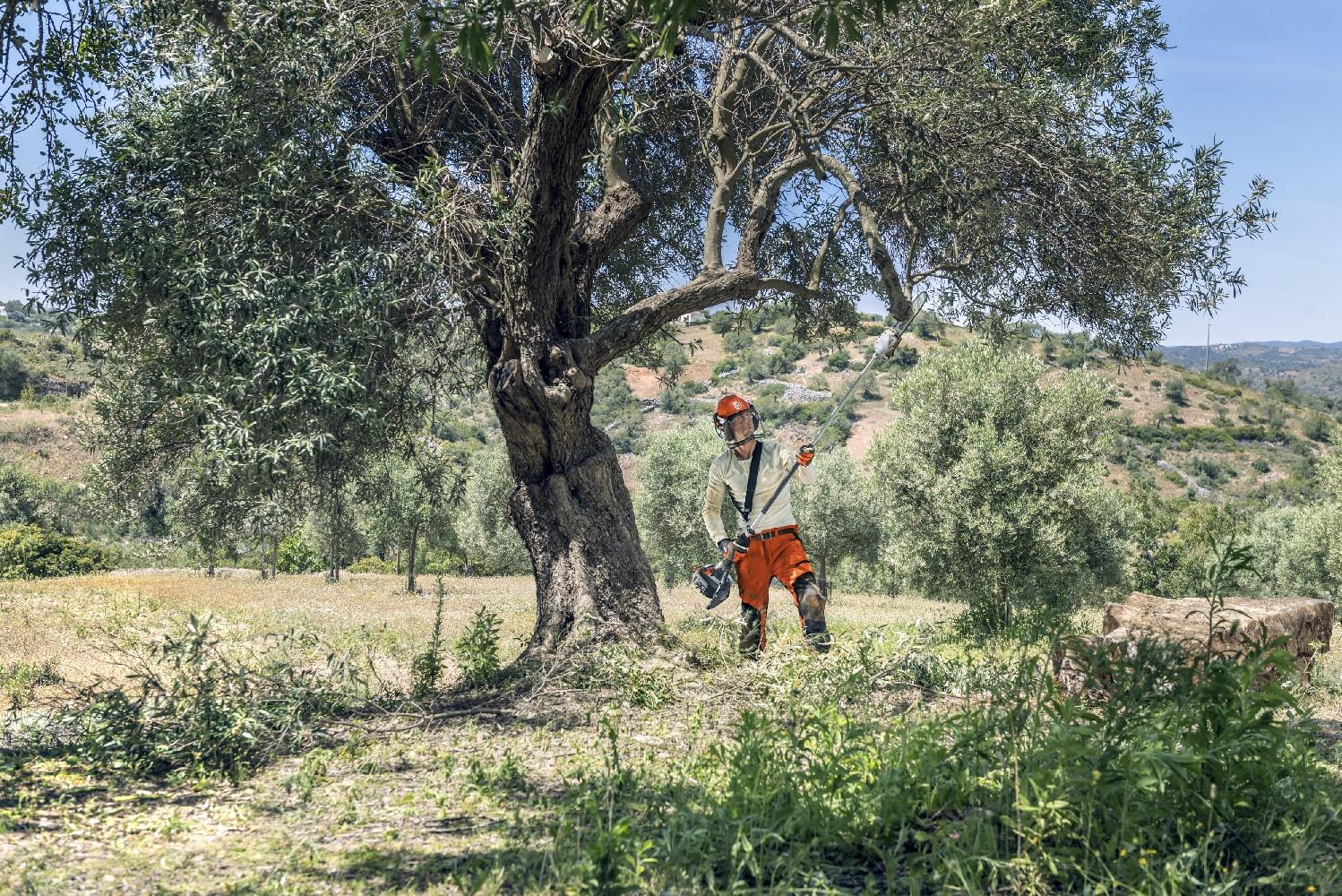 HOCHENTASTER 525 P4S Husqvarna