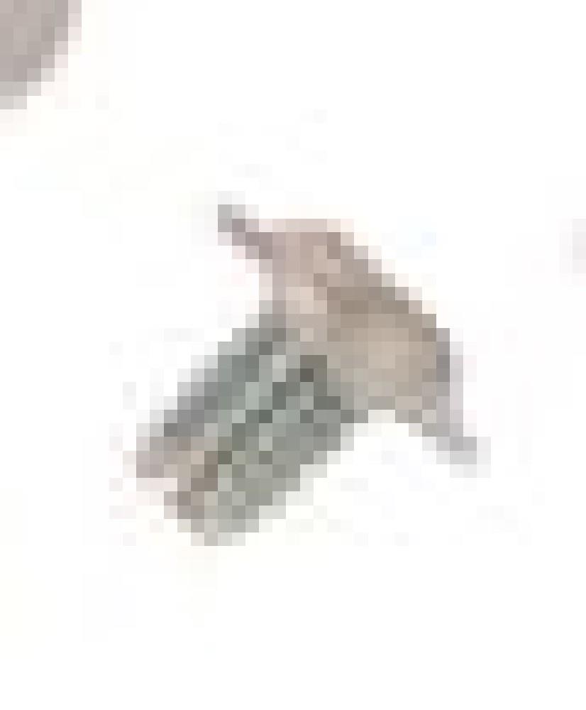 SCHRAUBE f. Automower