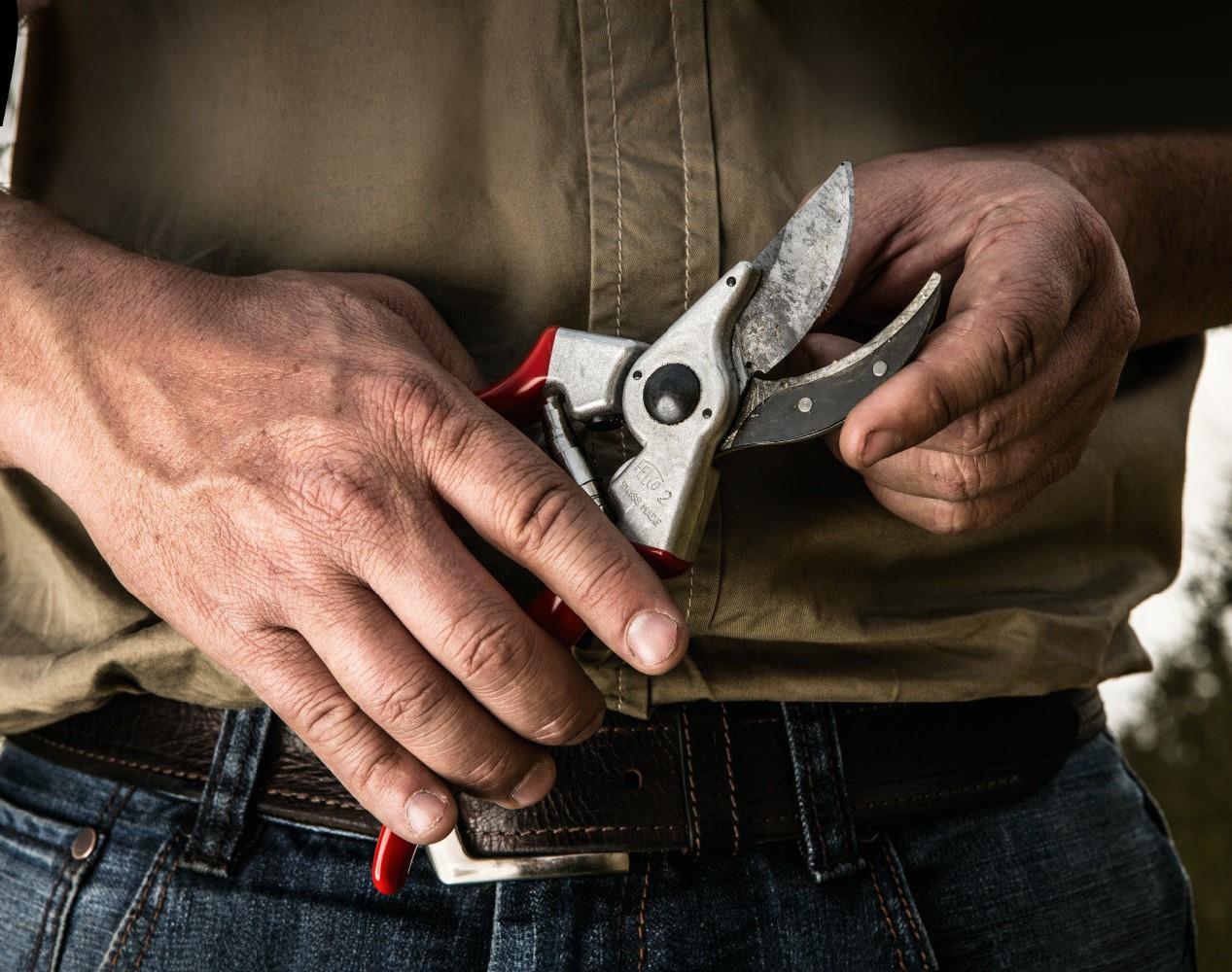 Baumschere Felco 2 215mm