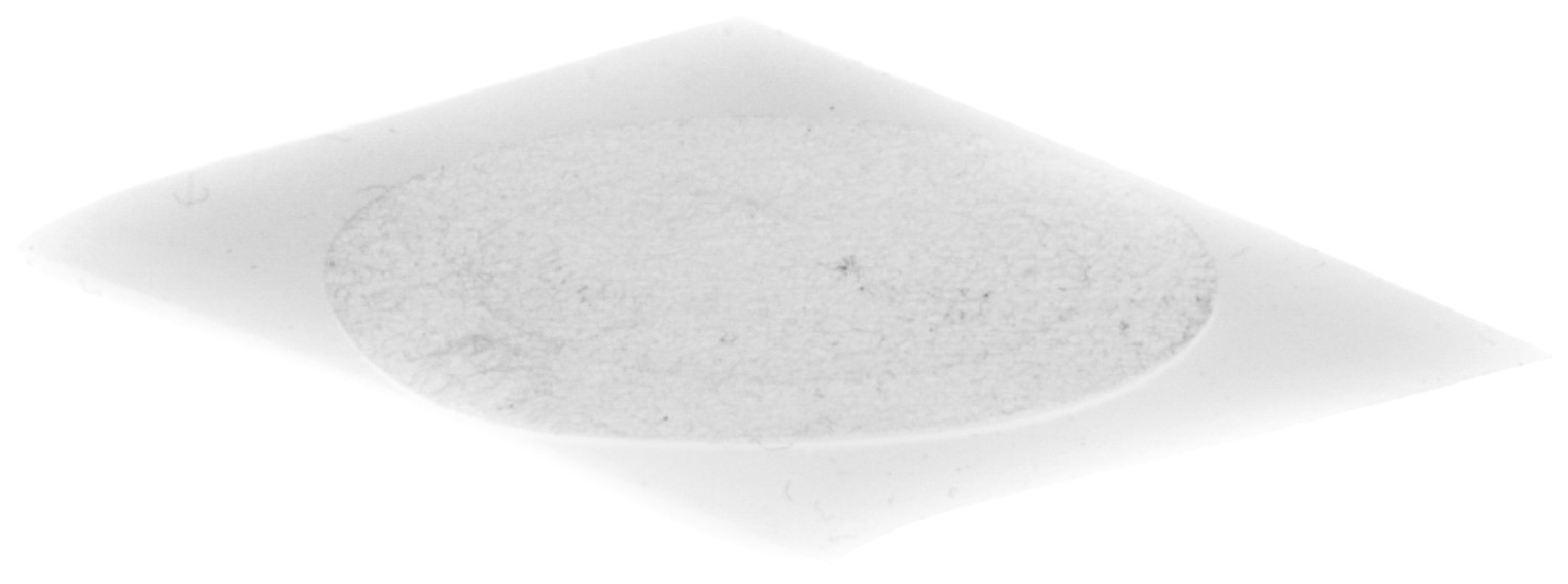 MEMBRANE (PE 10)
