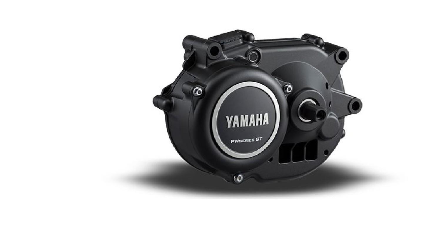 CrossRay E 6.0 HERREN RH60/XL 23/24